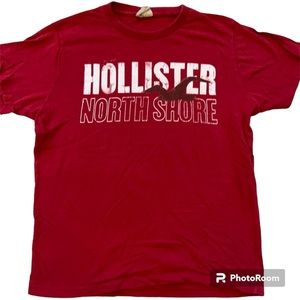 HOLLISTER Red Cotton Classic Short Sleeev Tee Shirt Beach Vacation Size Medium